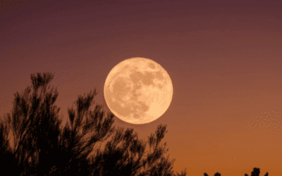 De invloed van de volle maan als je hooggevoelig bent