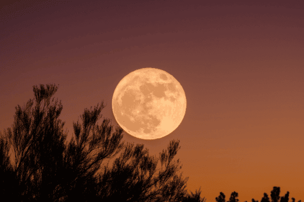 De invloed van de volle maan als je hooggevoelig bent