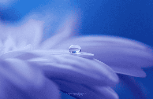 Meditatie die je helpt bij warmte en je verfrist en verkoelt