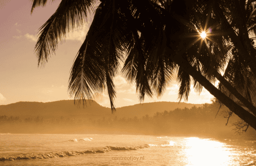 Ochtendzonmeditatie: voorkom stress en voel je krachtig en energiek