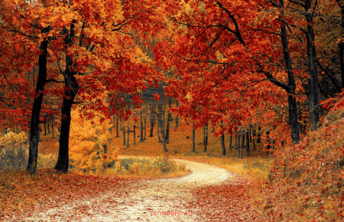 Herfstmeditatie om stress, spanning en negatieve gedachten los te laten