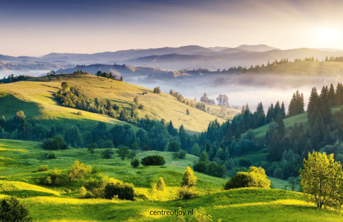 Boommeditatie om je energie, vitaliteit en persoonlijke kracht te vergroten