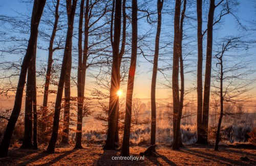 Helende lichtmeditatie voor meer lichtheid en liefde in je leven