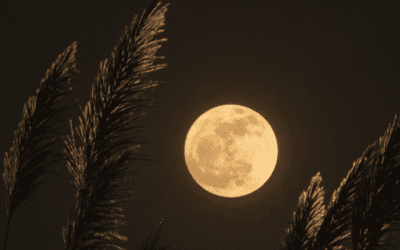 Volle maanmeditatie om je bewustzijn te vergroten en je trilling te verhogen