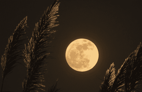 Volle maanmeditatie om je bewustzijn te vergroten en je trilling te verhogen