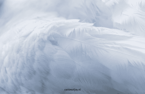 Helende engelenmeditatie die je liefde en zachte kracht brengt