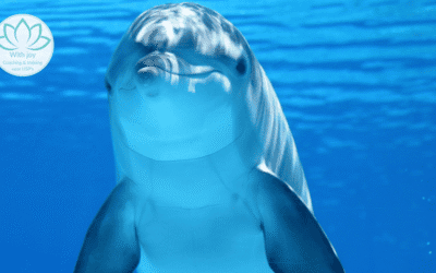 Kindermeditatie om lekker te slapen