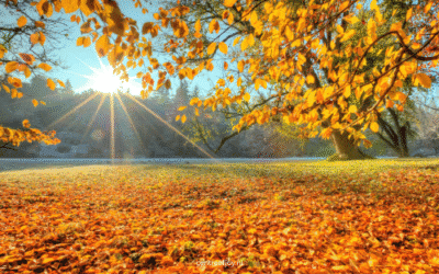 Heerlijke herfstmeditatie om je gelukkig te voelen
