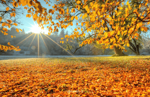 Heerlijke herfstmeditatie om je gelukkig te voelen