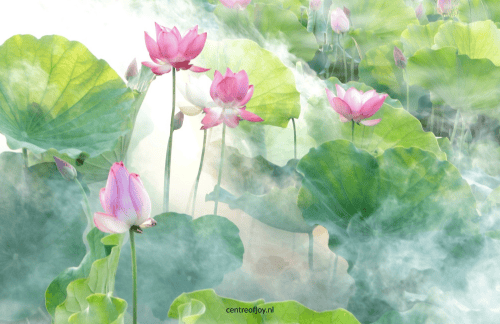 Zachte innerlijk kind meditatie met liefdevolle affirmaties