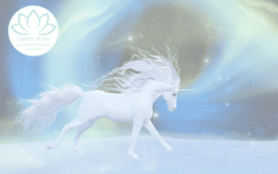 Kinder slaapmeditatie het magische wonderland