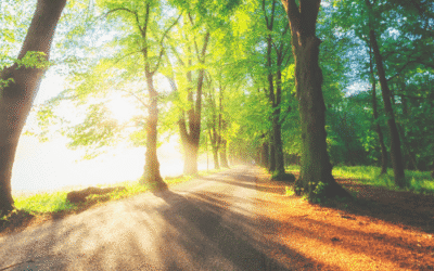 Krachtige meditatie voor meer overvloed en welzijn in je leven