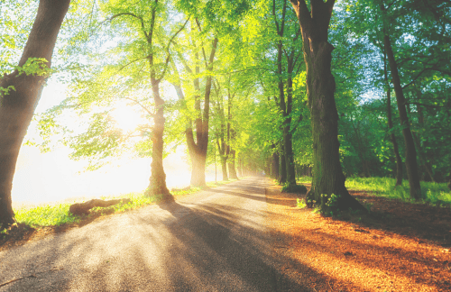 Krachtige meditatie voor meer overvloed en welzijn in je leven