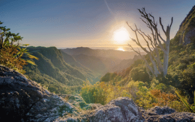Diepe ontspanningsmeditatie om onrust los te laten en je veilig te voelen