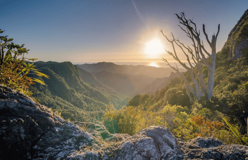 Diepe ontspanningsmeditatie om onrust los te laten en je veilig te voelen