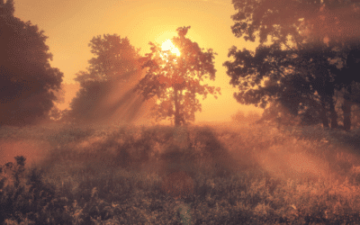 Ochtendmeditatie om je dag vol geluk, licht en kracht te starten