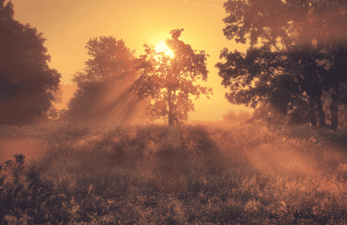 Ochtendmeditatie om je dag vol geluk, licht en kracht te starten