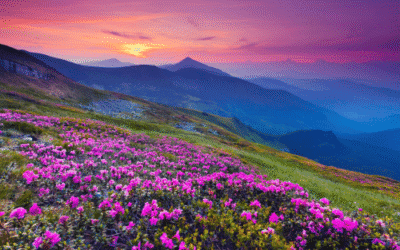 Helende meditatie om je zelfliefde te versterken