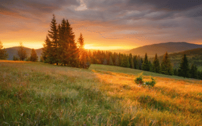 Herfstmeditatie om te ontspannen en stress, onrust en gepieker los te laten