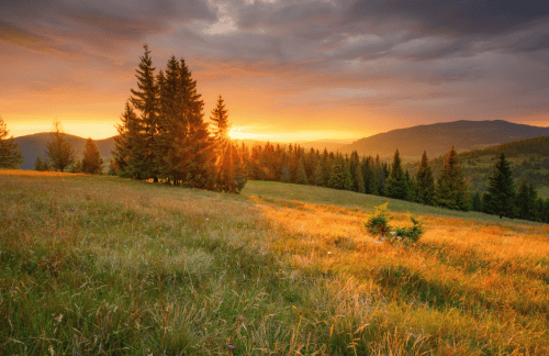Herfstmeditatie om te ontspannen en stress, onrust en gepieker los te laten