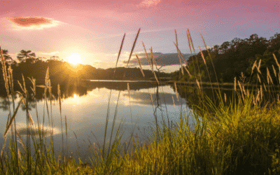 Ochtendmeditatie om je dag liefdevol en bewust te starten