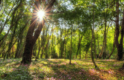 Meditatie die je helpt bij onzekerheid en angst en je vertrouwen en kracht geeft