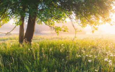 Zomerse meditatie om te ontspannen en je weer op te laden