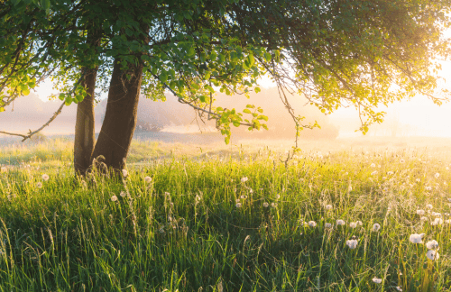 Zomerse meditatie om te ontspannen en je weer op te laden