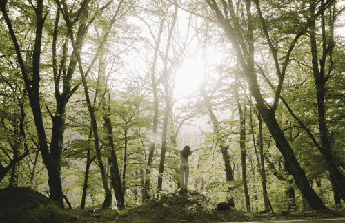 Helende grondingsmeditatie die je helpt bij vermoeidheid, overprikkeling of een burn-out