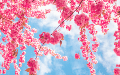 De helende kracht van de lente