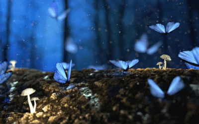 Meditatie om stress en spanning los te laten en diep te ontspannen 2.0