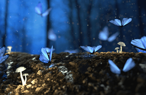 Meditatie om stress en spanning los te laten en diep te ontspannen 2.0