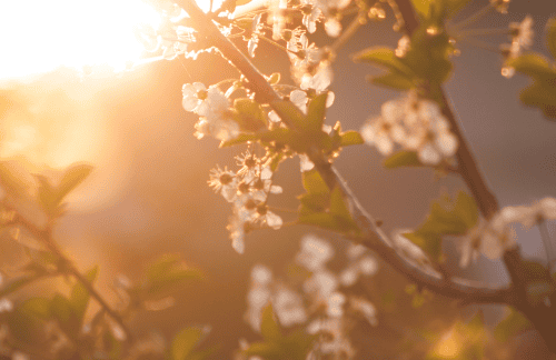 Helende lentemeditatie die je helpt bij een nieuw begin en het oude los te laten