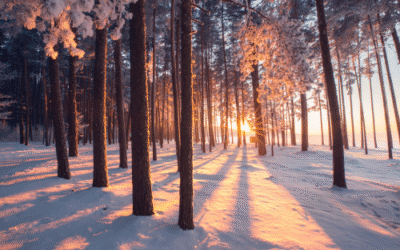 Winterse visualisatie die je warmte, energie en levenskracht laat ervaren