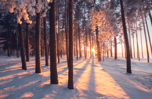 Winterse visualisatie die je warmte, energie en levenskracht laat ervaren