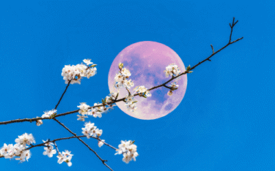 De energie van de volle maan van 25 maart in het teken Weegschaal