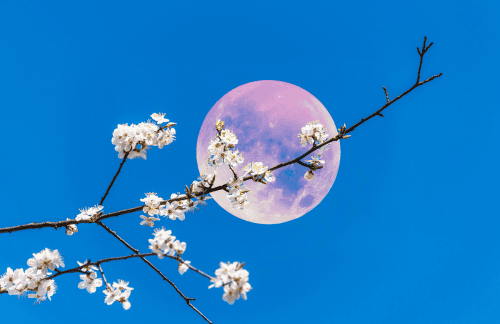 De energie van de volle maan van 25 maart in het teken Weegschaal