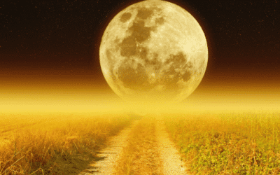 De energie van de volle maan van 19 augustus in het teken Waterman