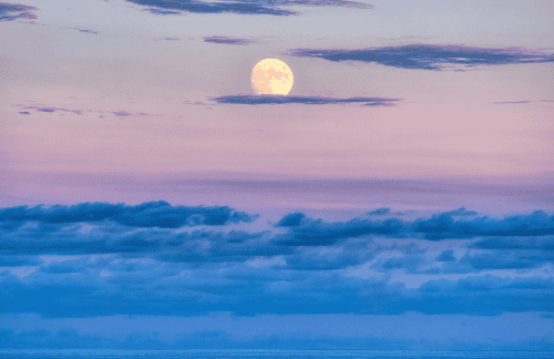 De energie van de volle maan van 15 november in het teken Stier