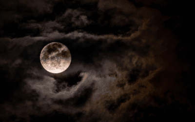 De energie van de volle maan van 12 februari in het teken Leeuw