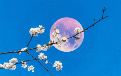 De energie van de volle maan van 13 april in het teken Weegschaal