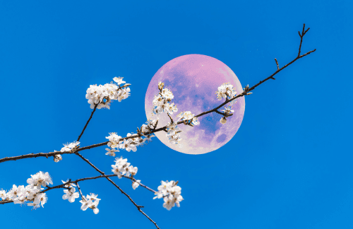 De energie van de volle maan van 13 april in het teken Weegschaal