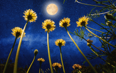 De energie van de volle maan van 12 mei in het teken Schorpioen