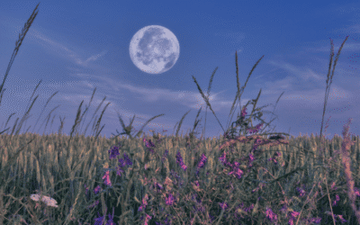 De energie van de volle maan van 10 juli in het teken Steenbok