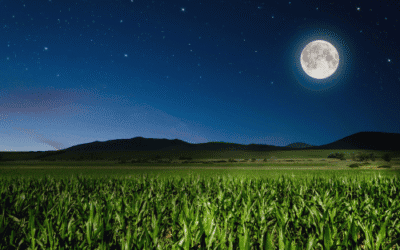 De energie van de volle maan van 9 augustus in het teken Waterman