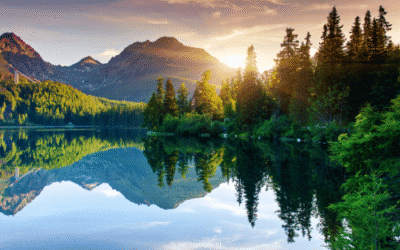 Diepe ontspanningsmeditatie om alles los te laten en thuis te komen bij jezelf