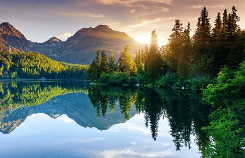 Diepe ontspanningsmeditatie om alles los te laten en thuis te komen bij jezelf