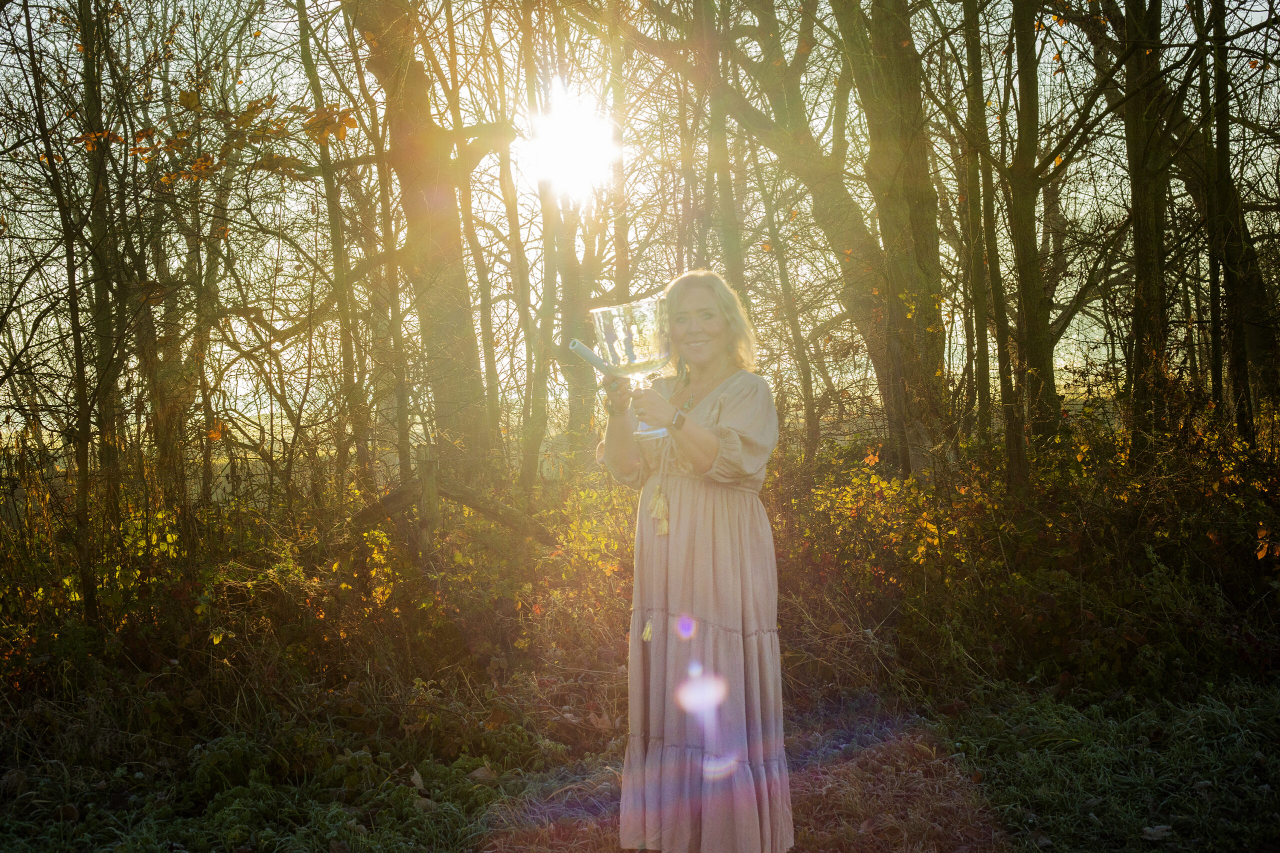 online zonnewende healing